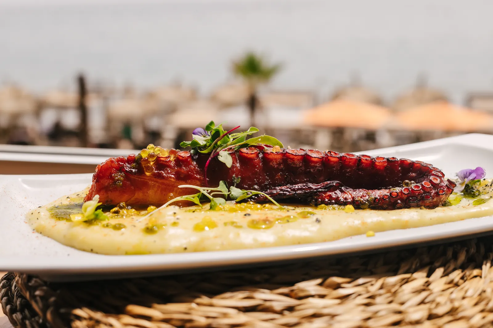 Grilled octopus with sea views in Marbella